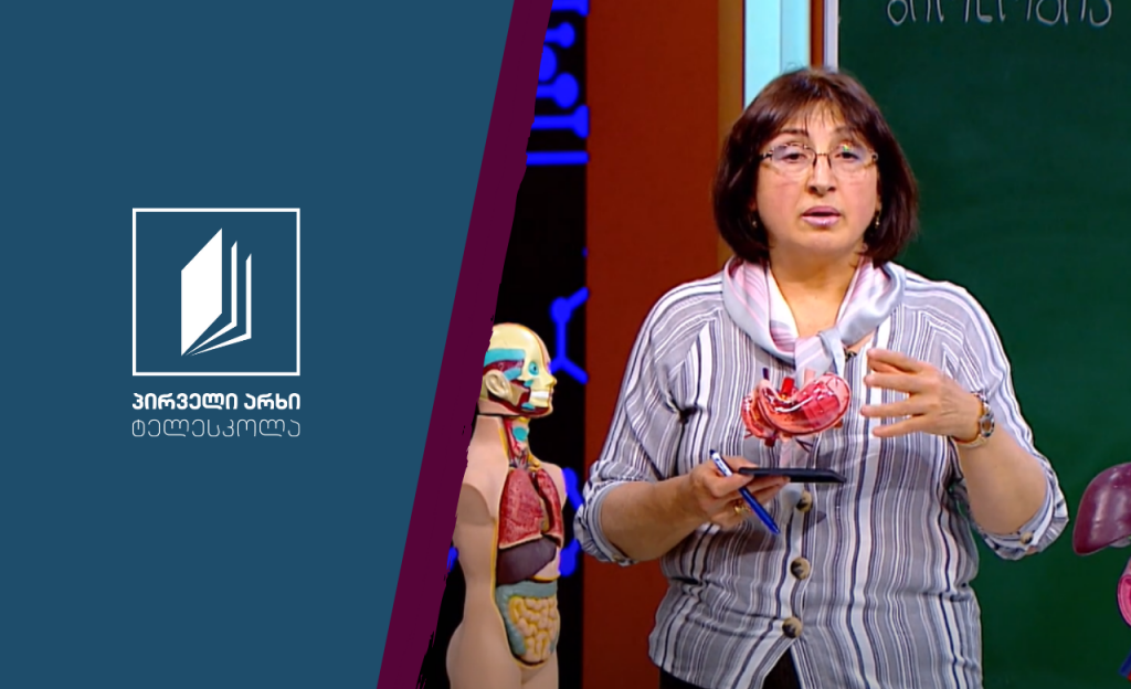 ბიოლოგია, VIII კლასი – საჭმლის მომნელებელ ორგანოთა სისტემის ფუნქციები #ტელესკოლა