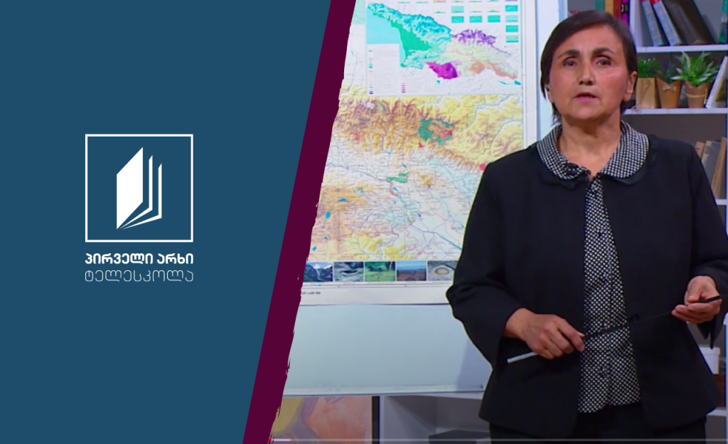 გეოგრაფია, IX კლასი – შიდა ქართლი #ტელესკოლა