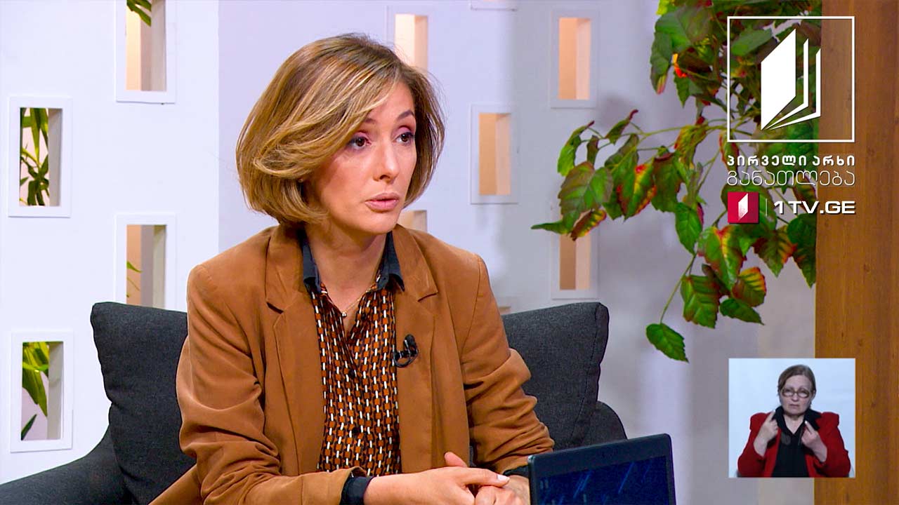 მშობლის საათი - როგორ ხორციელდება სოციალური სერვისების მიწოდება პანდემიის პირობებში, 3 მაისი, 2020 #ტელესკოლა