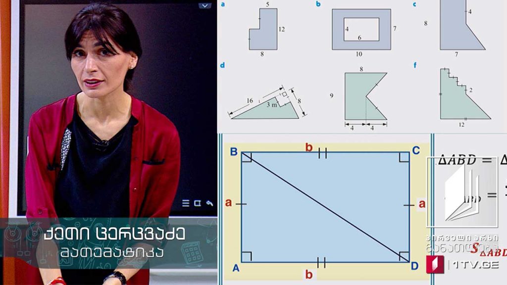 მათემატიკა, VIII კლასი – ფართობი, 7 მაისი, 2020 #ტელესკოლა
