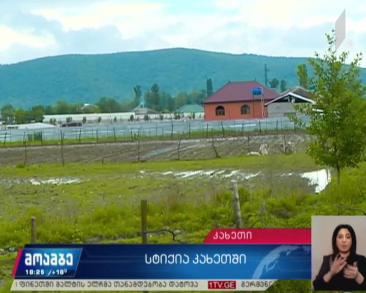 სტიქია კახეთში