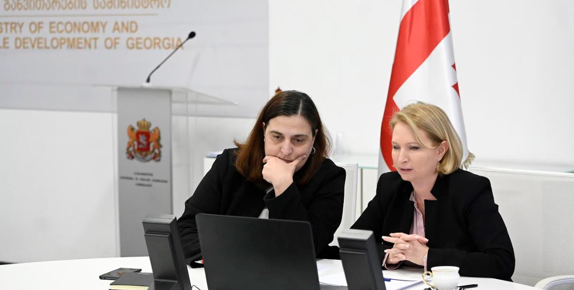 ნათია თურნავამ ეკონომიკის დარგის მეცნიერებთან მთავრობის ანტიკრიზისული გეგმა განიხილა