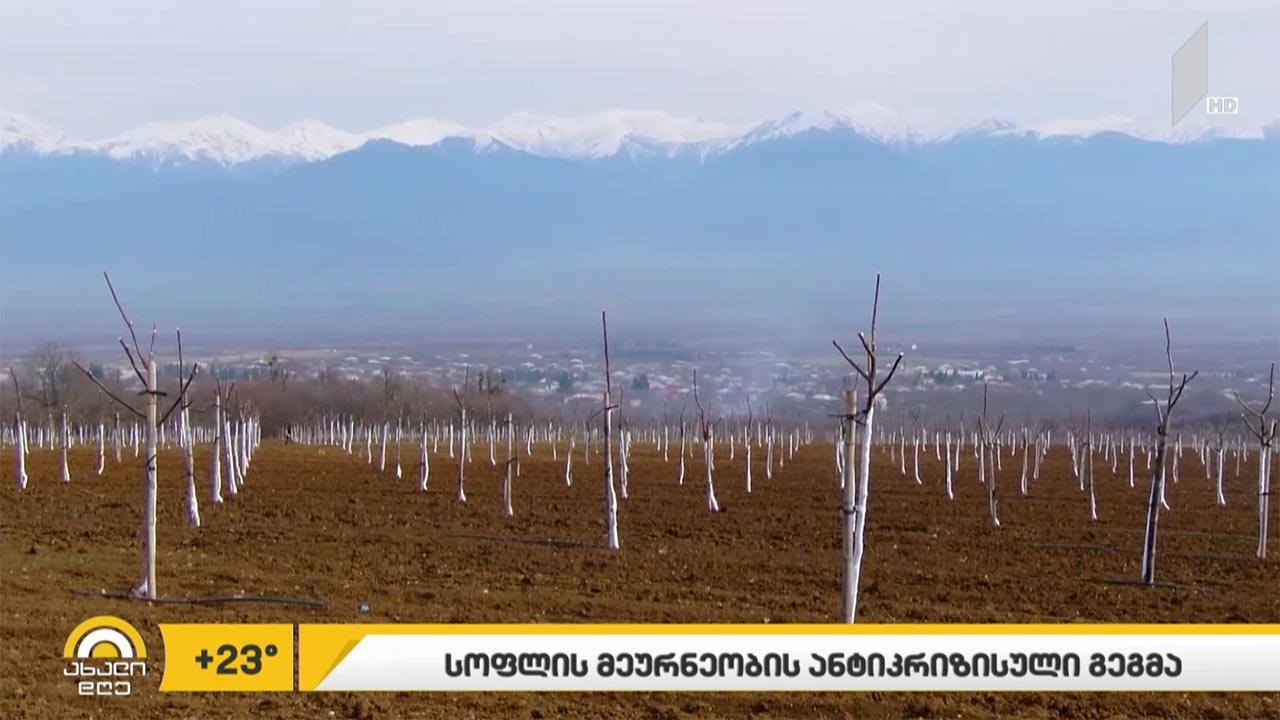 სოფლის მეურნეობის ანტიკრიზისული გეგმა
