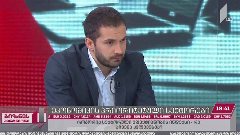 ეკონომიკის პრიორიტეტული სექტორები საქართველოში