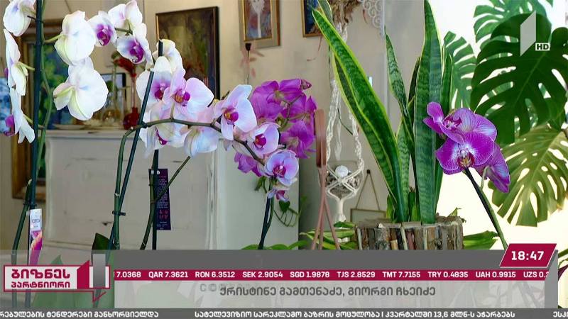 ყვავილების ინდუსტრია კრიზისშია