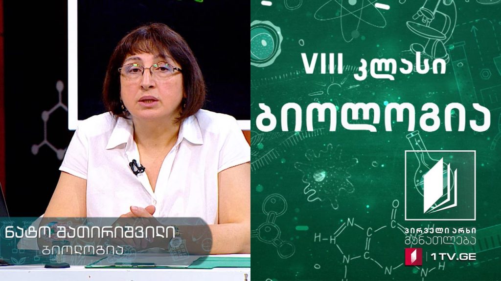 ბიოლოგია, VIII კლასი – ნერვული სისტემა, 14 მაისი, 2020 #ტელესკოლა