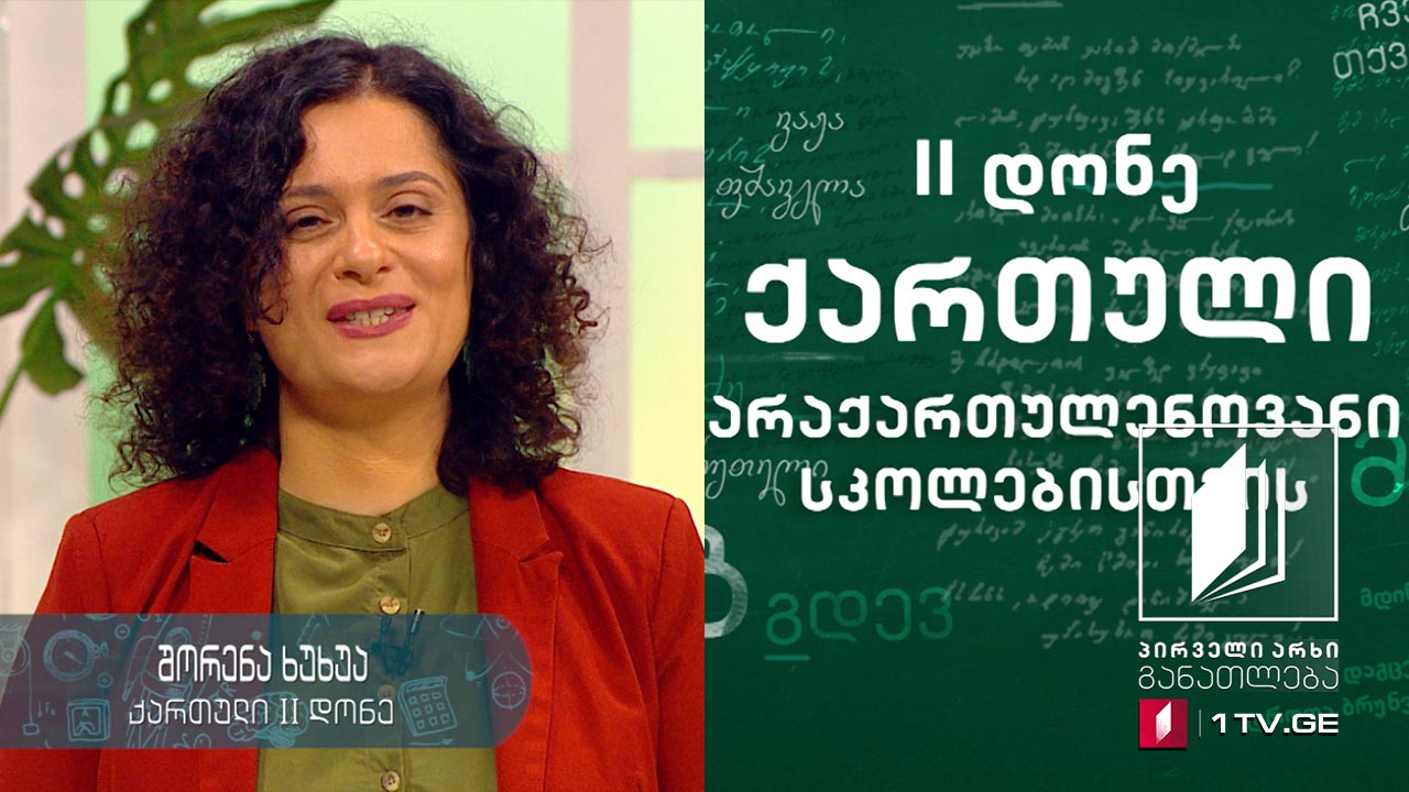 ქართული ენა არაქართულენოვანი სკოლებისთვის, II დონე - მეშვიდე გაკვეთილი #ტელესკოლა