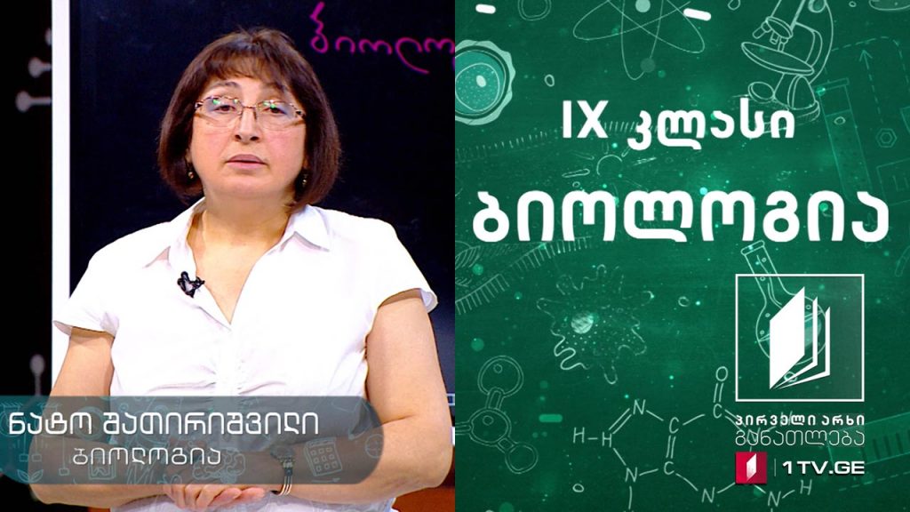 ბიოლოგია, IX კლასი – ეკოლოგია, 15 მაისი, 2020 #ტელესკოლა