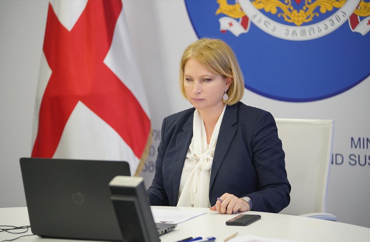 ნათია თურნავამ უკრაინელ კოლეგასთან საქართველოსა და უკრაინას შორის პირდაპირი ავიამიმოსვლის აღდგენის შესაძლებლობა განიხილა
