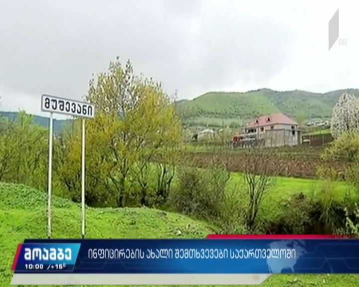 COVID 19 - ინფიცირების ახალი შემთხვევები საქართველოში