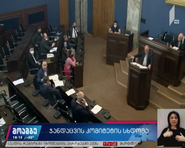 ჯანდაცვის კომიტეტის სხდომა