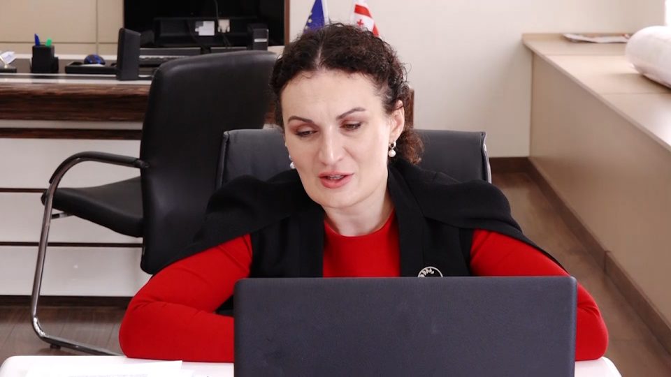 ქეთევან ციხელაშვილმა აშშ-ის საერთაშორისო განვითარების სააგენტოს მისიის ხელმძღვანელთან ვიდეოშეხვედრა გამართა