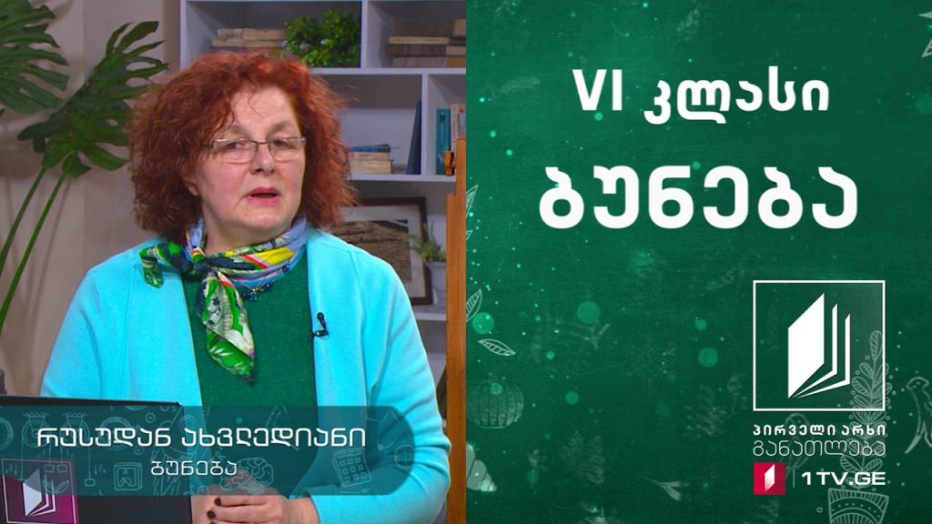 ბუნება, VI კლასი – ენერგიის წყაროები, ენერგიის გარდაქმნა, 26 მაისი, 2020 #ტელესკოლა