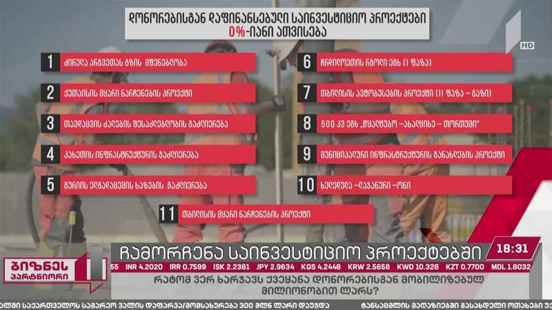 ხარვეზები საინვესტიციო პროექტებში