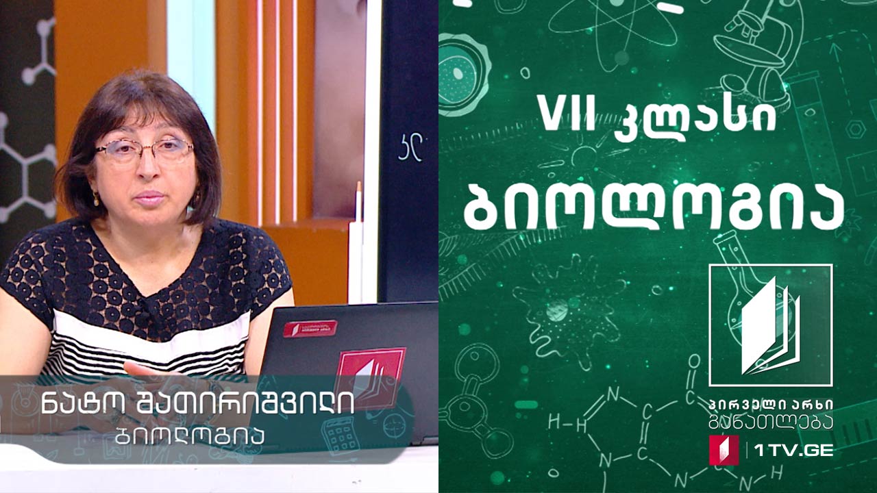 ბიოლოგია, VII კლასი - ძუძუმწოვრები, 27 მაისი, 2020 #ტელესკოლა