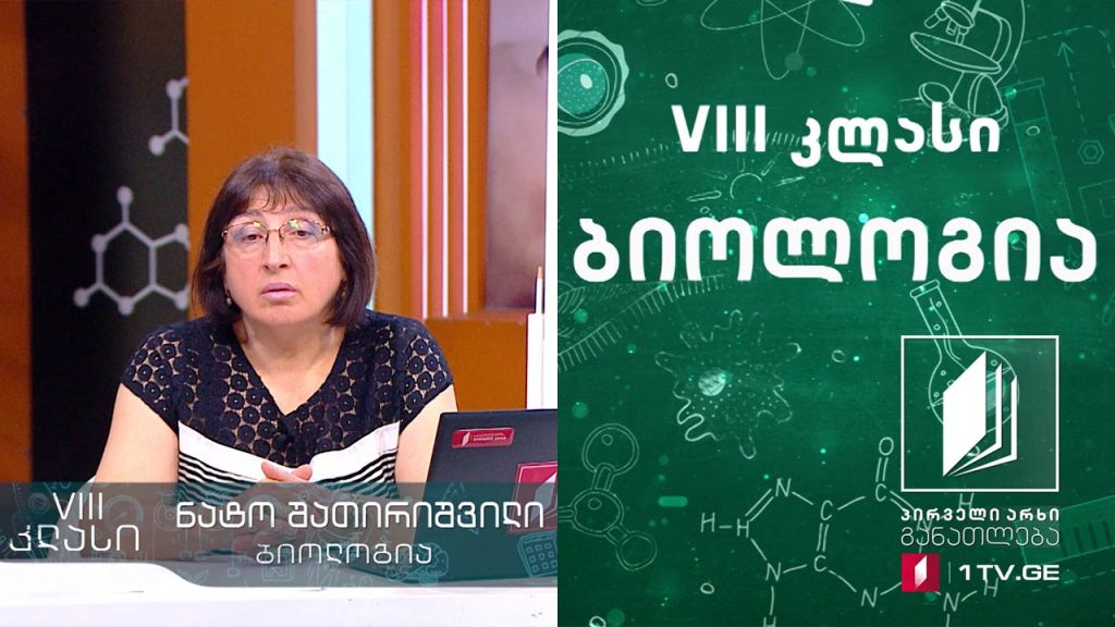 ბიოლოგია, VIII კლასი – ენდოკრინული სისტემა, 28 მაისი, 2020 #ტელესკოლა