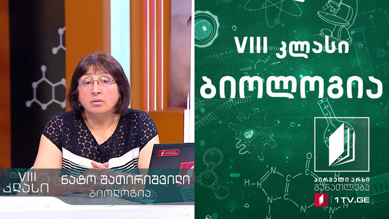 ბიოლოგია, VIII კლასი - ენდოკრინული სისტემა, 28 მაისი, 2020 #ტელესკოლა
