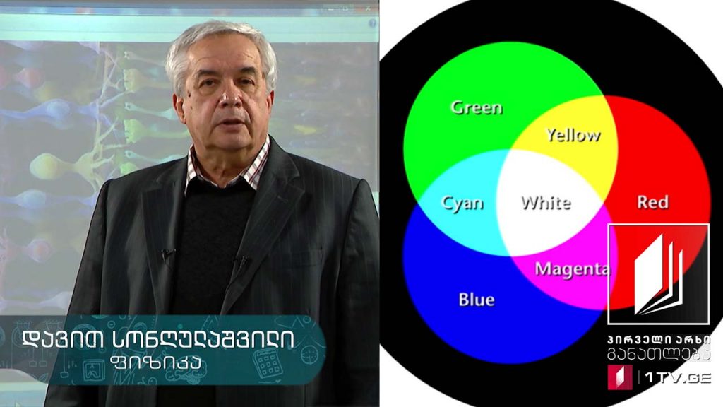 ფიზიკის დრო – ფერების შეგრძნება, ბადურა, კოლბები და ჩხირები, 29 მაისი, 2020 #ტელესკოლა