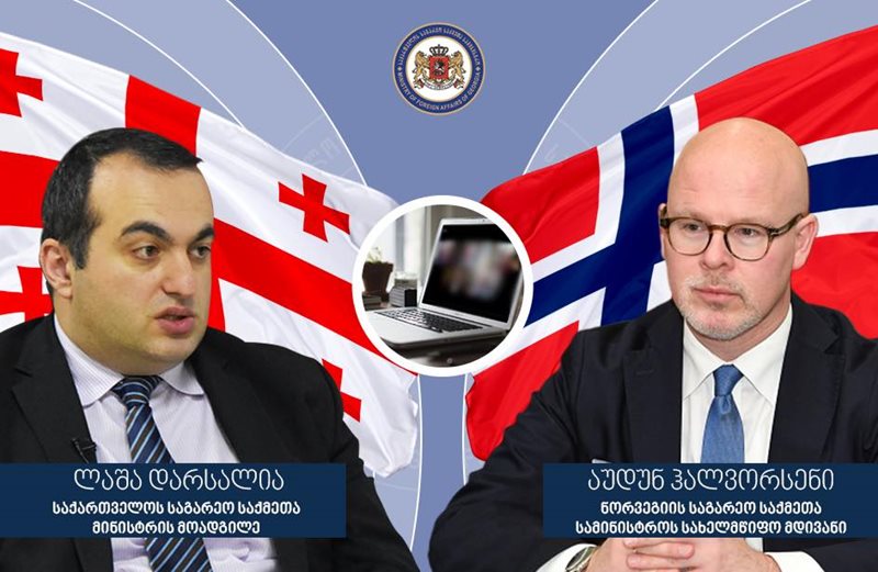 ლაშა დარსალიამ ნორვეგიის საგარეო საქმეთა სამინისტროს სახელმწიფო მდივანთან ონლაინ შეხვედრა გამართა