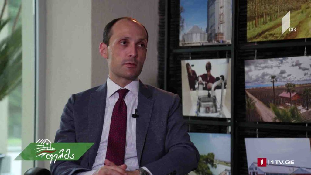 #ფერმა ინტერვიუ სოფლის მეურნეობის მინისტრთან/ როგორ ავიღოთ შეღავათიანი აგროკრედიტი