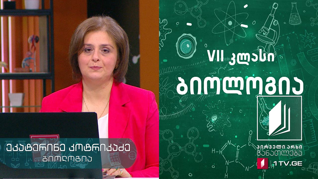ბიოლოგია, VII კლასი - გარდატეხის ასაკისათვის დამახასიათებელი ცვლილებები -  3 ივნისი, 2020#ტელესკოლა