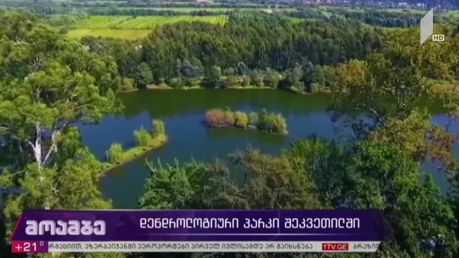 დენდროლოგიური პარკი შეკვეთილში, უნიკალური რეკრეაციული ზონა ზღვასა და მთას შორის, ოთხასწლოვანი გიგანტური ხეები, ეგზოტიკური ცხოველები და იშვიათი მცენარეები მსოფლიოს სხვადასხვა ქვეყნიდან - როგორ გაშენდა ოაზისი ჭაობზე და როდიდან შეძლებენ ვიზიტორები მის დათვალიერებას