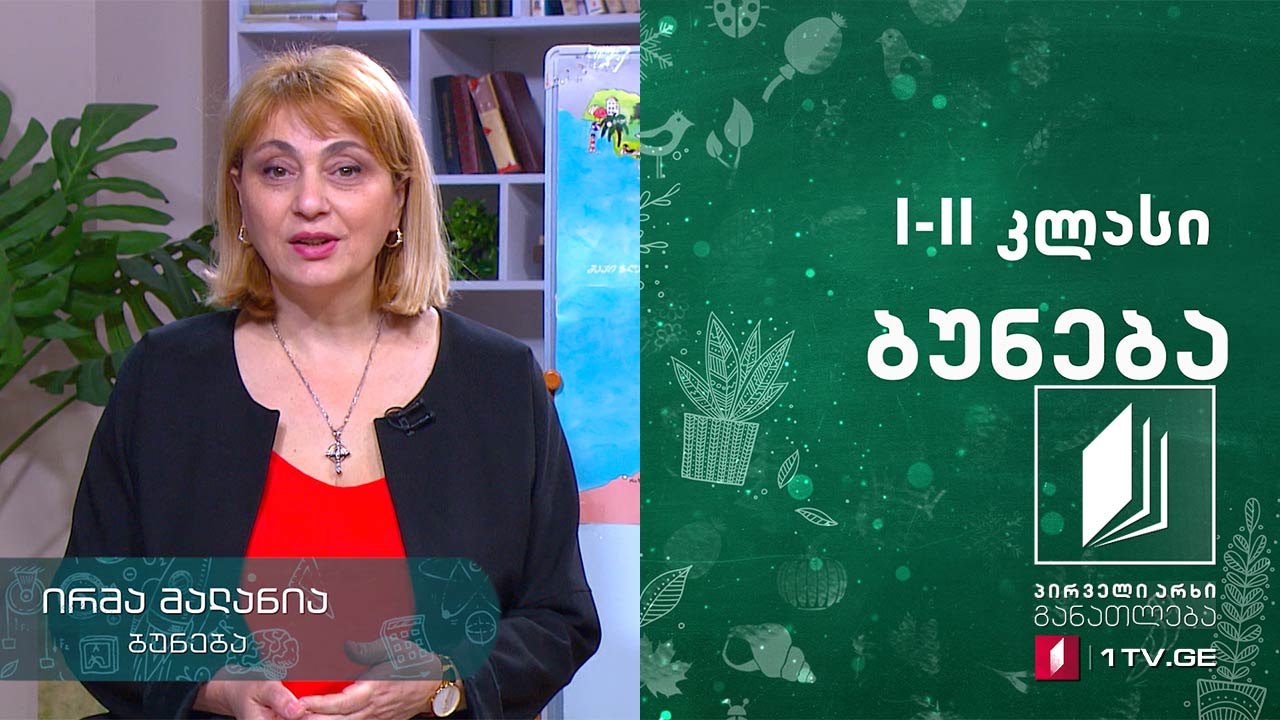 ბუნება, I-II კლასი - უსაფრთხო დასვენება ბუნებაში #ტელესკოლა