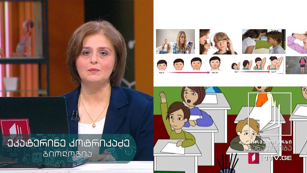 ბიოლოგია, VII კლასი - ადამიანის სასიცოცხლო ციკლის თავისებურებანი #ტელესკოლა