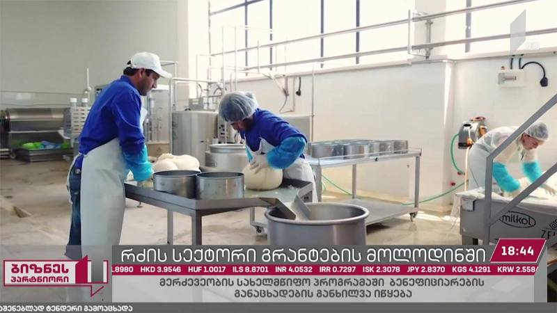 მერძევეობის სახელმწიფო პროგრამის ბენეფიციართა განაცხადების განხილვა იწყება