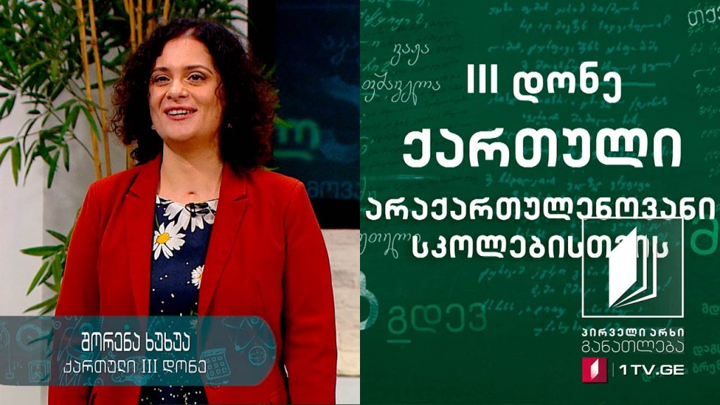 ქართული ენა არაქართულენოვანი სკოლებისთვის, III დონე – მეთერთმეტე გაკვეთილი, 12 ივნისი, 2020 #ტელესკოლა