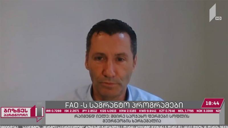 FAO-ს საგრანტო პროგრამები