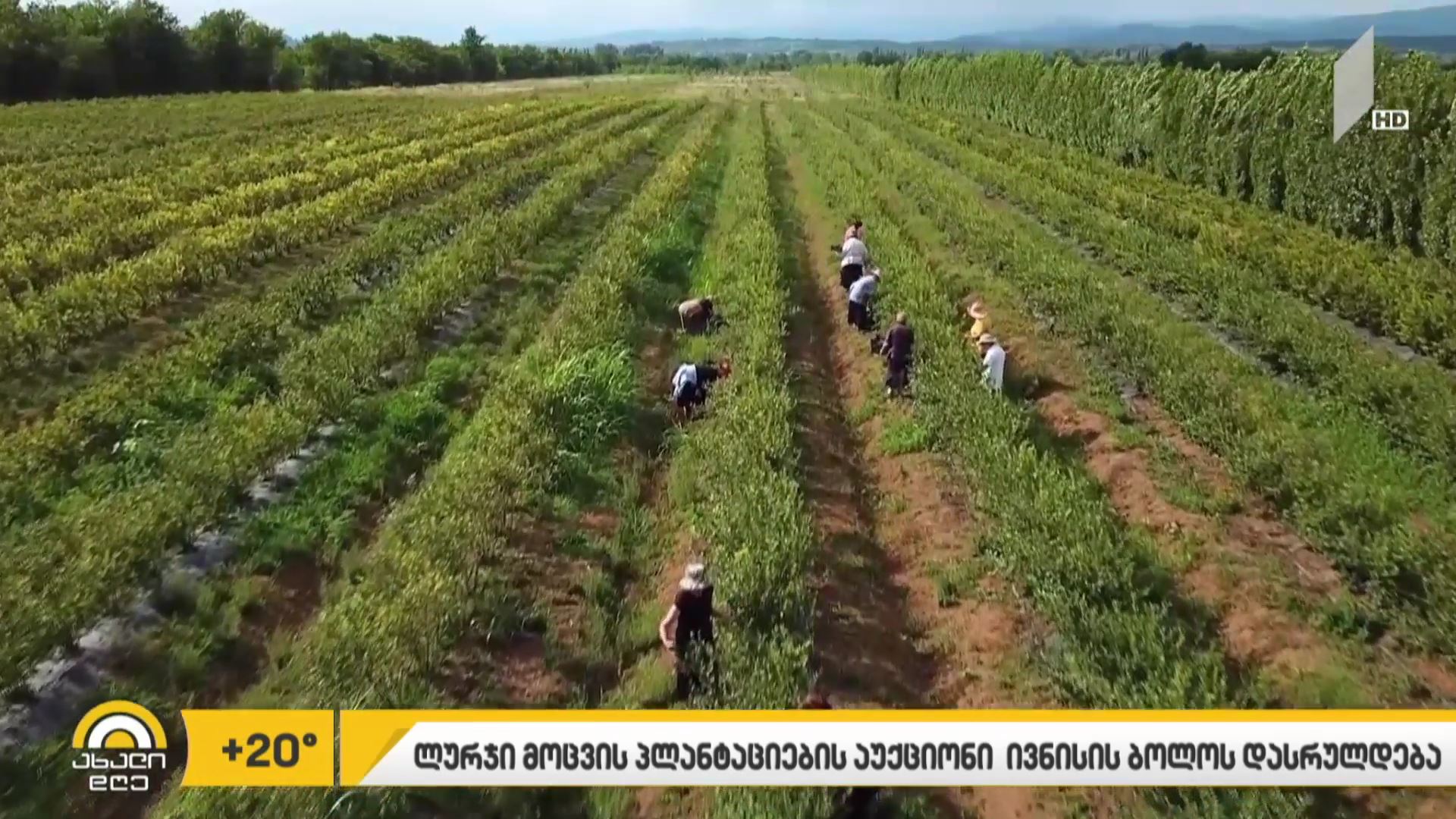 საქართველოში გამყვანი ტურიზმის ასოციაცია დაფუძნდა