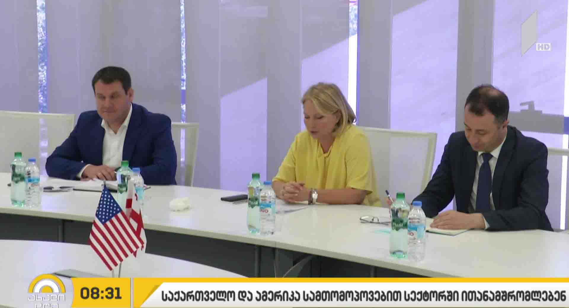 საქართველო და აშშ სამთო-მოპოვებით სექტორში ითანამშრომლებენ