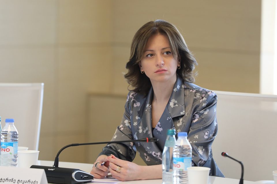 ეკატერინე ტიკარაძე ჯანდაცვის სფეროს რეგულირების კანონპროექტზე - აღნიშნული კანონპროექტი იცავს ჩვენი მოქალაქეების ჯანმრთელობასა და ინტერესებს