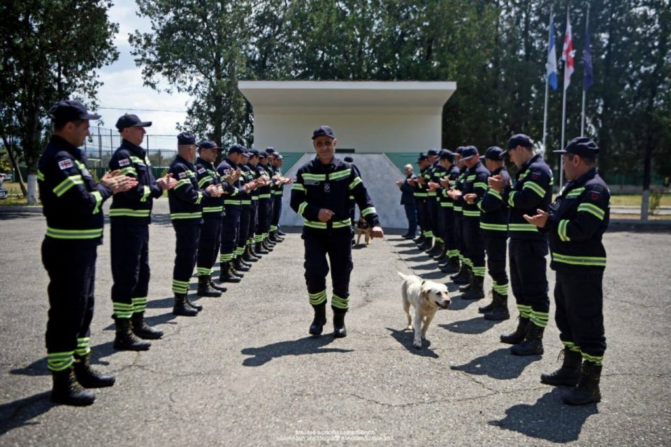 მაშველი ძაღლები - ფანი, ჯესი, ბელა, სალი, ბინგო და რეი სამსახურიდან გააცილეს [ფოტო-ვიდეო]