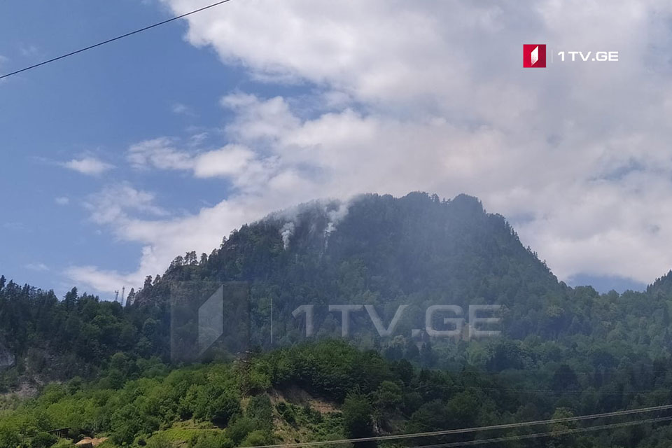 ხანძარი მესტიის რაიონში