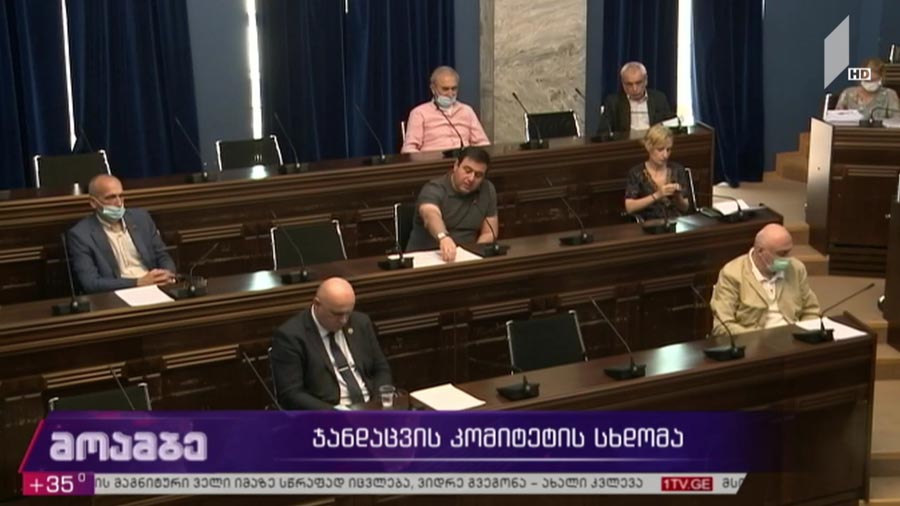 ჯანდაცვის კომიტეტის სხდომა