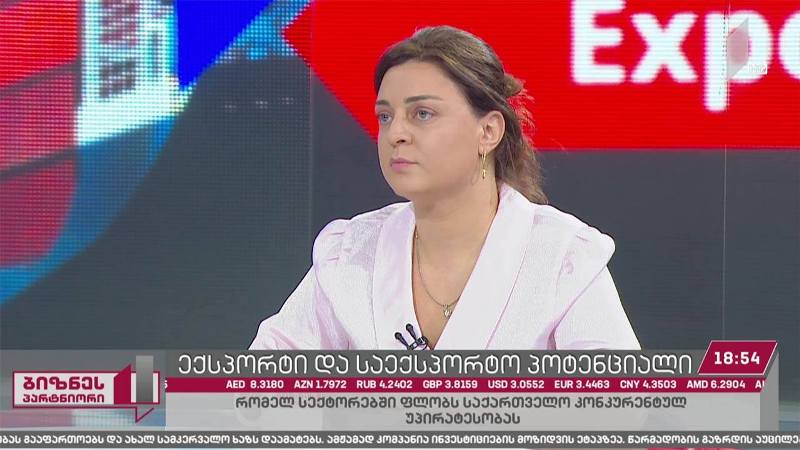 საქართველოს საექსპორტო პოტენციალი