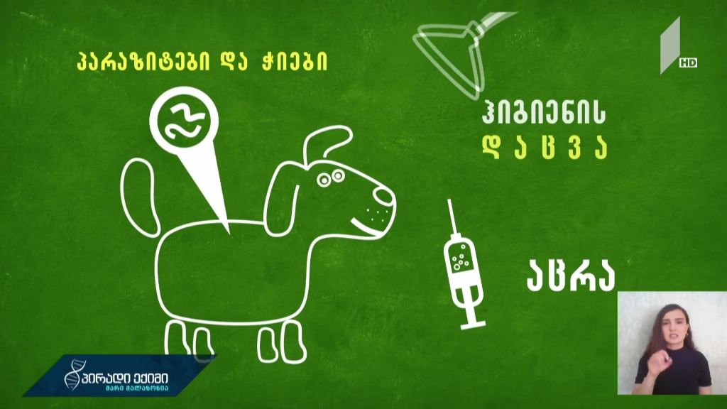 #პირადიექიმისრჩევები პარაზიტული დაავადებების თავიდან ასაცილებლად
