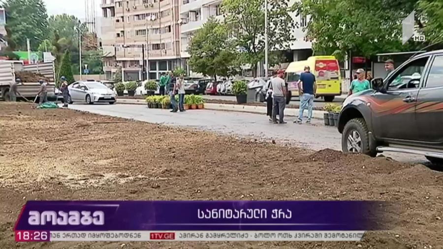 სანიტარული ჭრა თბილისში