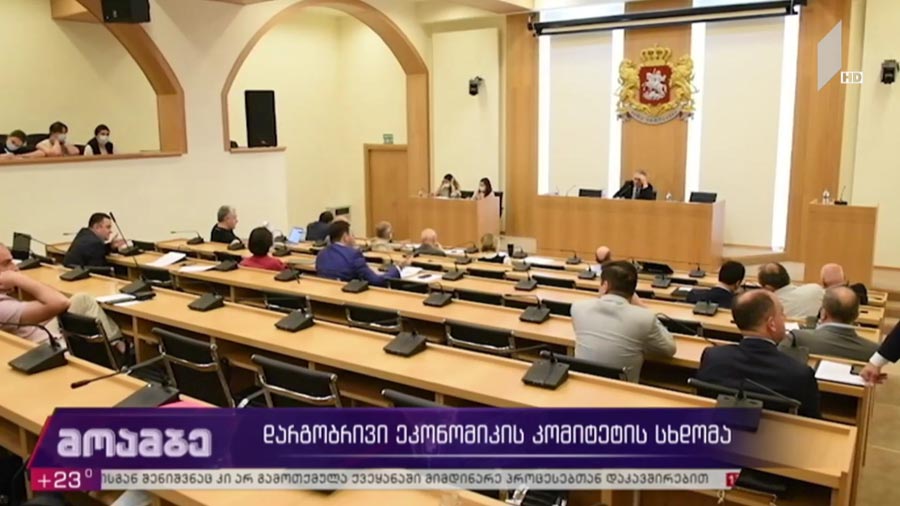 დარგობრივი ეკონომიკის კომიტეტის სხდომა