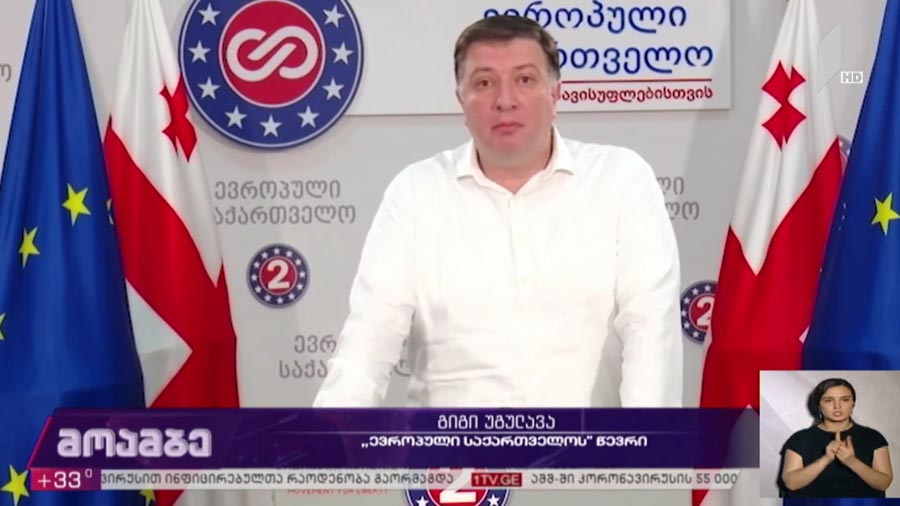 „ევროპული საქართველოს“ განცხადება