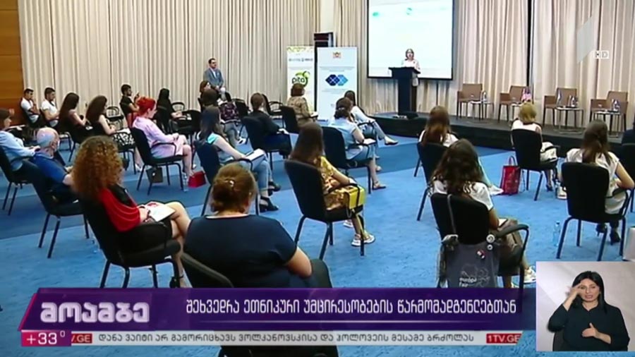 შეხვედრა ეთნიკური უმცირესობების წარმომადგენლებთან