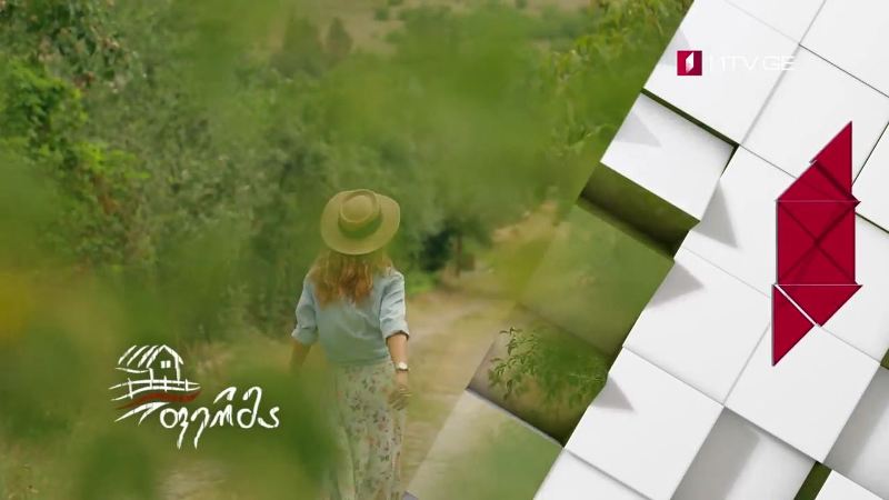„ფერმა” – 2 აგვისტოს, 12:15