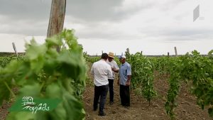 vbvbb.f4v_001727080