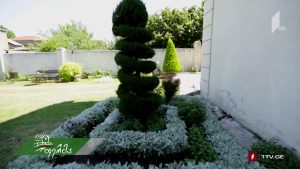 artishoki5555.mp4_000016720