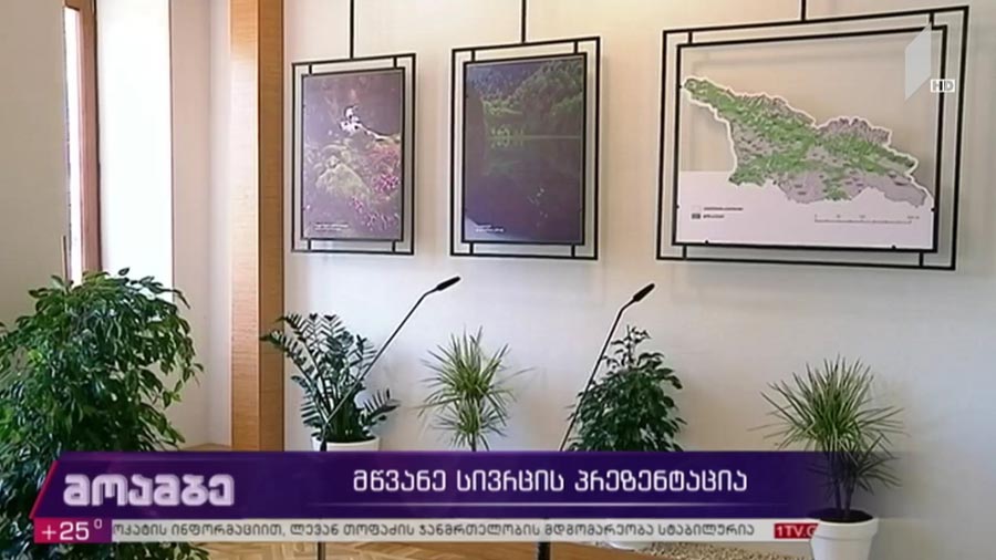 მწვანე სივრცის პრეზენტაცია