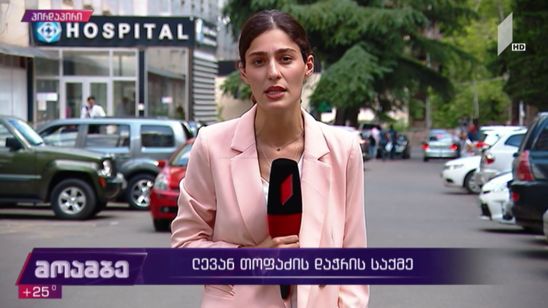 ლევან თოფაძის დაჭრის საქმე