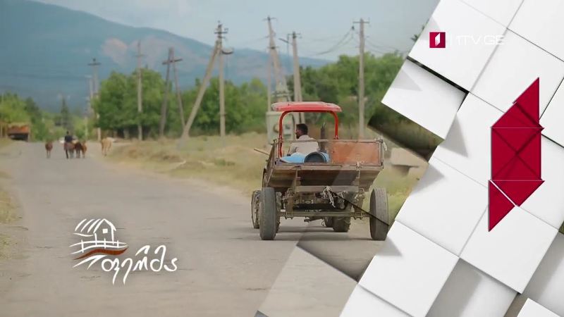 „ფერმა“ – 9 აგვისოს, 12:15