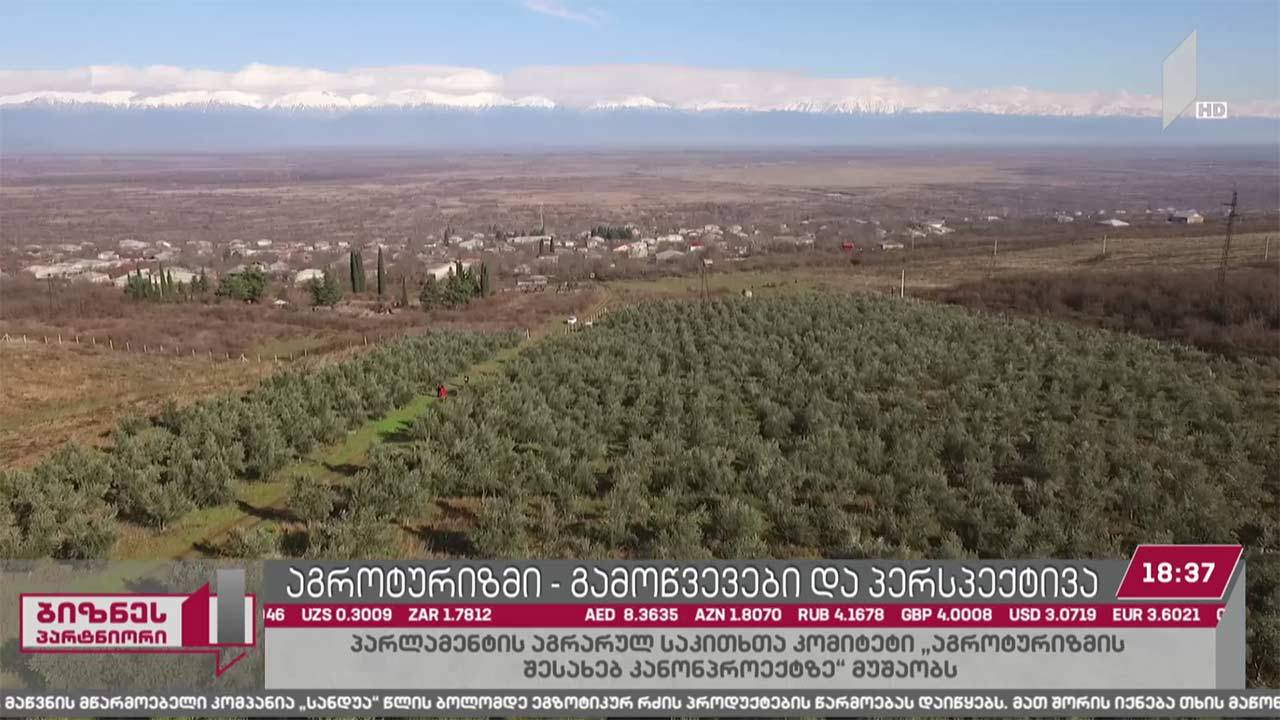 აგროტურიზმი - პრობლემები და პერსპექტივა